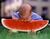 Baby eating tarbuj